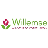 logo willemse